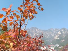 -狼牙山风景区