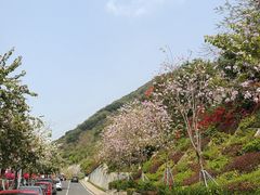 -小南山公园