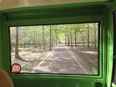 -黄海国家森林公园