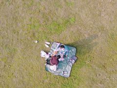 -铁山坪森林公园