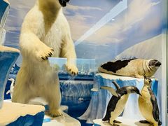 -国家自然博物馆