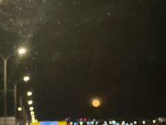-厦门园林博览苑