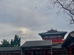 -广富林郊野公园