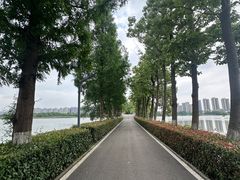 -洋湖国家湿地公园
