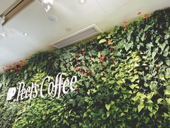 -Peet's Coffee皮爷咖啡(大学路店)