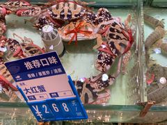 -强记海鲜·大排档(蛇口新街店)