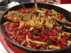 -壹鲦鱼·烤鱼·烧烤(泉城路店)