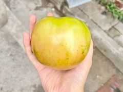 -汪记鲜鱼糊汤粉(沈阳路总店)