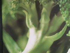 -美点饼业(新阳店)