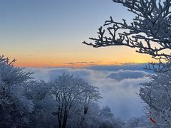 -湖州龙王山景区