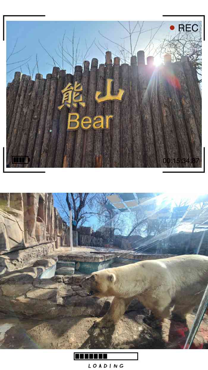 去北京动物园还是小时侯的记忆了和全家一起去的现在记得的是当时看了