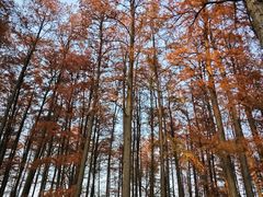 -月湖风景区