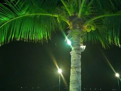 -越海渔村