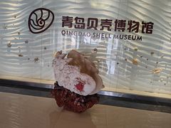 -青岛贝壳博物馆