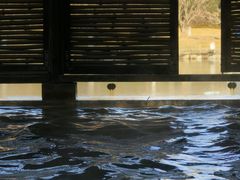 -春晖园度假酒店温泉