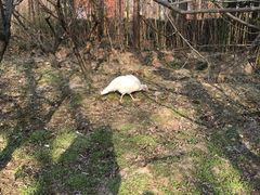 -昆山城市生态森林公园