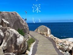 -广东惠东海龟国家级自然保护区