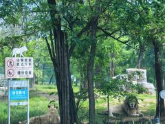 -秦皇岛野生动物园