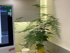 -海马体照相馆(上海宝山万达广场店)