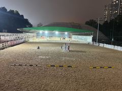 -名驭国际马术学院