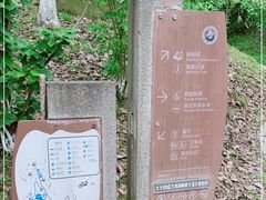 -都江堰中华大熊猫苑