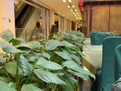 -东四民芳餐厅(世茂工三店)