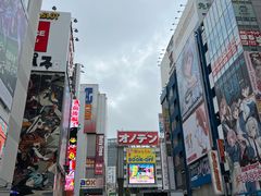 -秋叶原电器街