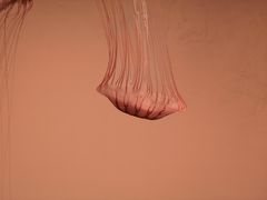 -沈阳海洋探索中心