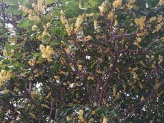 -上海如意智慧酒店(上海科学院店)