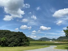 -风云岭森林公园