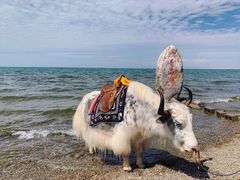 -青海湖国家重点风景名胜区