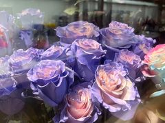 -ROSEONLY诺誓(广州K11店)