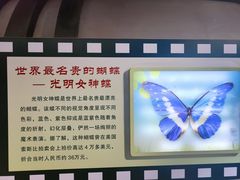 -上海昆虫博物馆