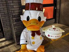 -杨丫·活力老鸭汤火锅(会展城店)