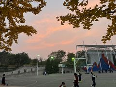 -北京市海淀外国语实验学校