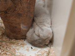 -龙猫仔乐园(惠福东路店)