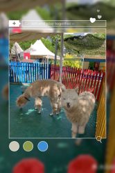 -萌宠亲子动物乐园(槐房万达店)