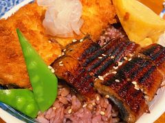 黄金双拼-堂本家洋食别馆·炸猪排(中心城店)