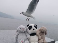 -海埂大坝