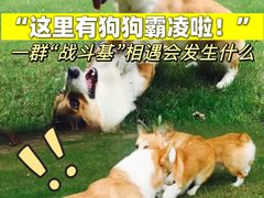 -钟山体育运动公园