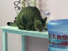 -Best U照相馆证件照·外拍(中山公园店)