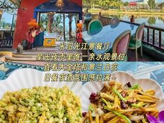 -西双版纳原始森林公园