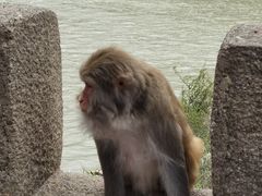 -白帝城·瞿塘峡景区