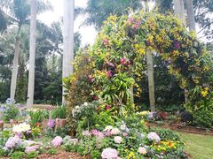 -深圳仙湖植物园
