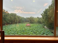 -潇湘甲鱼村(清河店)