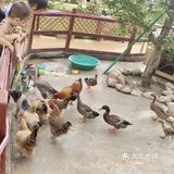 周末遛娃来这里 好玩又划算