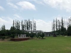 -上海长兴岛郊野公园