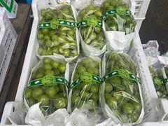 -双福水果批发市场