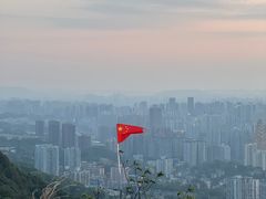 -南山植物园