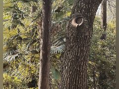 -人民公园-相亲角